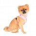 Pettorina Pinkaholic LAPINE HARNESS